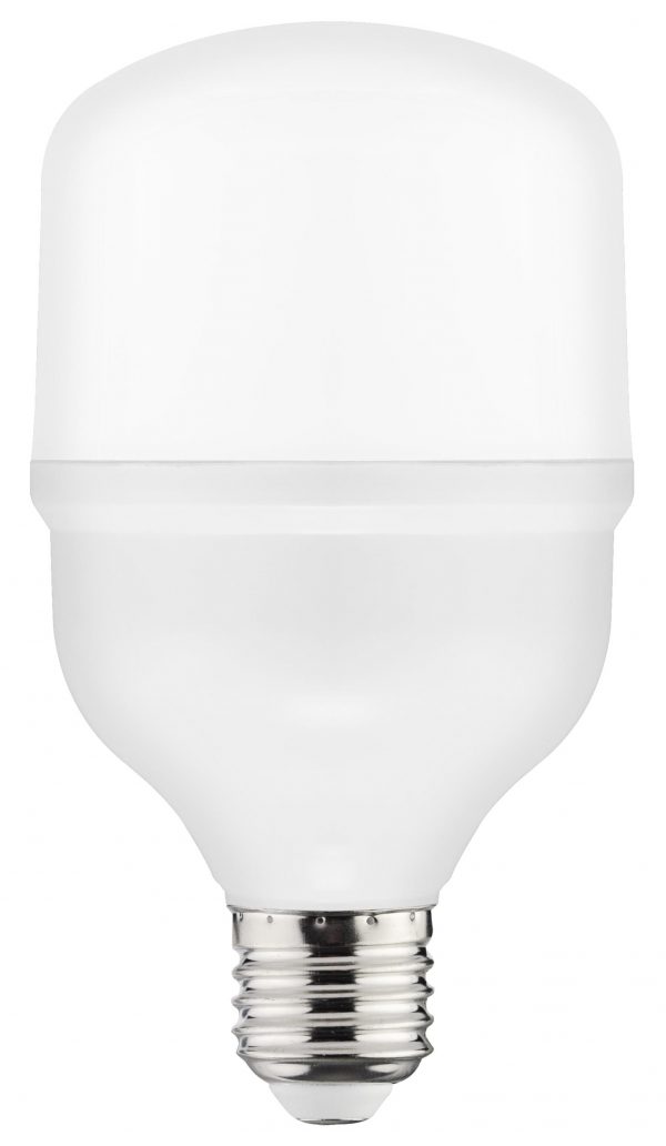 TORCH-20