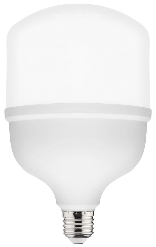 TORCH-40